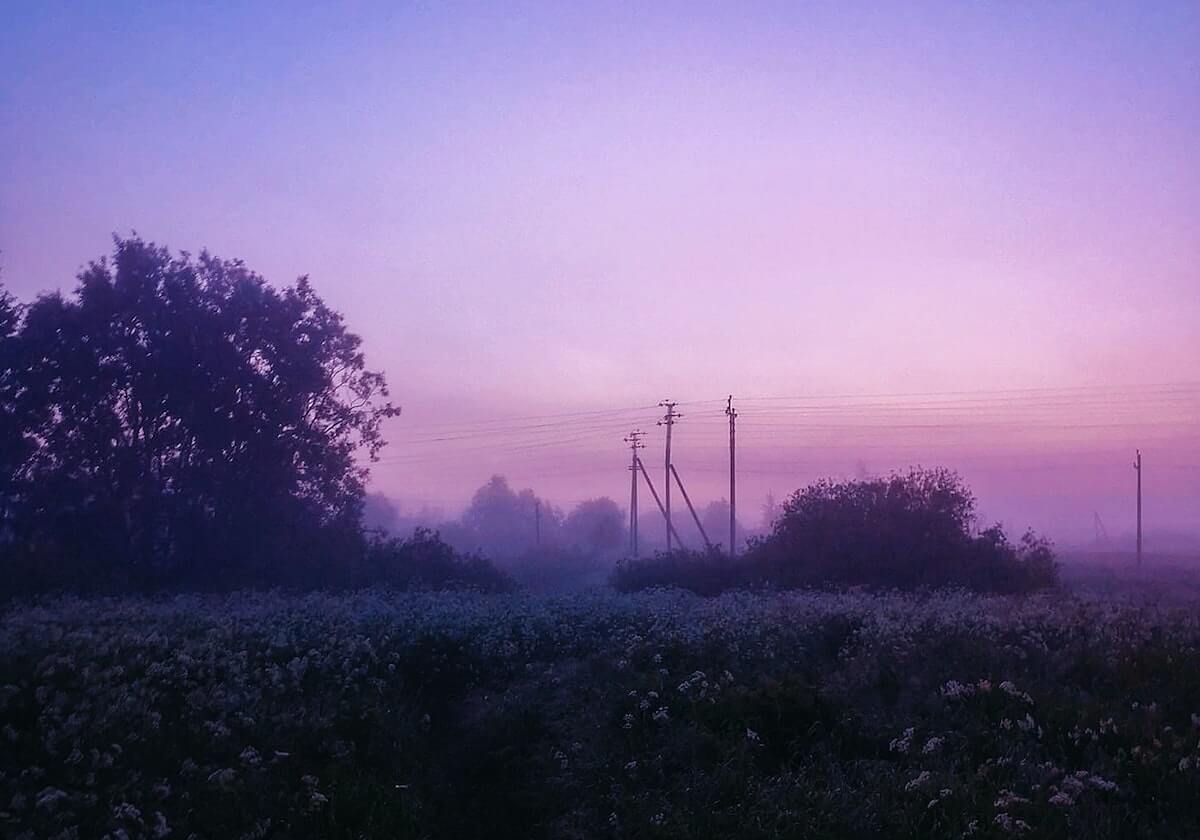 3倍薪资+1支私队!张本智和空降德甲,真为追樊振东?